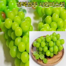 경북 상주에서 자란 샤인머스켓 1.5kg 2kg 경북 포도 달콤함 아삭아삭 청포도, 샤인머스켓 1.5kg 3-4수