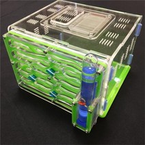 개미집 키우기 세트 개미 둥지 개미 농장 아크릴 곤충 개미 둥지 별장 집 개미를위한 애완 동물 매니아 먹이를주는 큰 9 색 사용 가능한 diy 습기, l, 협력사, 초록