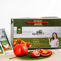 착한리얼 자연한입 마이산 착즙 토마토즙 30포 50포, 110ml X 30포