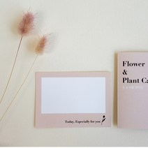 꽃집용품 꽃다발 메세지 카드 택 편지 메모지 엽서, 10매, 민트