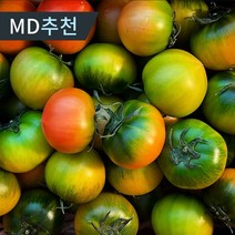 당일수확 고당도 짭짤한 대저 토마토 2.5kg 산지직송, 로얄과(S/2S/3S)-