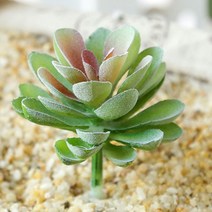 (주)아트인 인조 다육이(M03), 안개그린, 1개