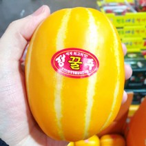 맛과네 당도 성주 꿀 참외, 꼬마과, 가정용, 10kg, 1개