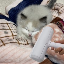 반영구 돌돌이 청소용품 강아지 고양이 털제거 털청소기