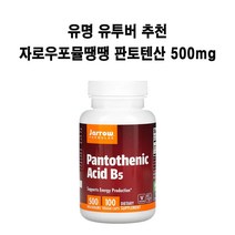자로우 포뮬러스 판토텐산 500mg 베지캡스 100개 X1병 자로우포뮬땡땡 약들약 고약사 B5