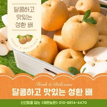 (해든농원) 배 선물세트 7.5kg / 가정용 못난이 배 15kg / 달고 시원한 성환 신고 배, 7.5kg 선물용 고급 10과 x 1box