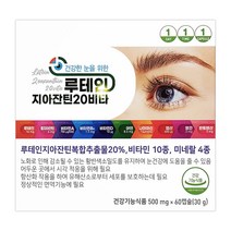 제일약품 루테인 지아잔틴 20 비타 500mg 약국전용상품, 60캡슐(2개월)+헬시링크마스크1팩