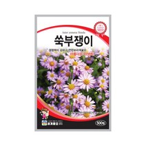 모칸도 (무배)세계 쑥부쟁이 꽃씨 (500립), 1개