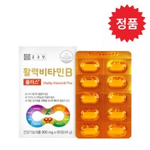 종근당 활력 비타민B 플러스 800mg x 60정 (판토텐산칼슘 엽산 비오틴 스테아린산마그네슘), 1개