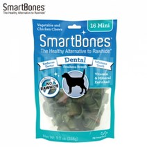 스마트본 덴탈(치석 구취) 미니-16p, 본상품선택