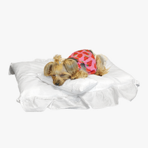 에토펫 반려동물 포그니 방석