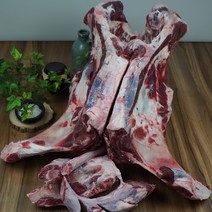 아이홈미트 국내산 소꼬리 약10kg 1벌 반골포함 꼬리곰탕용, 1개, 꼬리곰탕용 약10kg
