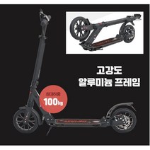 안전 듀얼브레이크 100kg 접이식 킥보드 운동능력 튼튼 근력발달