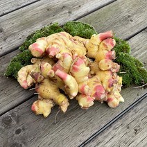 22년수확 국내산 영주 봉화 햇 흙생강, 2.에어세척생강