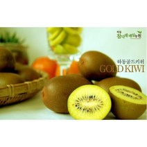 하동참다래매실농원 골드키위 쥬스용 (개당 65g 내외 소과), 3kg 쥬스용