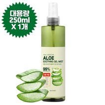 메이포레/알로에99% 리얼 수딩젤 대용량 미스트 250ml/안개미스트/수분, 250ml, 5개