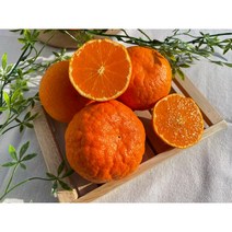 제주 신비향 수라향 설국향 15브릭스 고당도 2.5kg 4.5kg 9kg 로얄혼합과 중품, 신비향(수라향) 2.5KG 로얄혼합