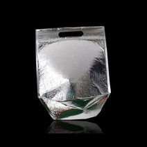 P1B 지퍼식 보냉팩 보냉봉투 25X28cm 밑면5.5cm 10매 _ 보냉파우치 은박보냉팩 은박보냉재 은박보온팩 보냉 은박발포지 보온보냉 아이스백 5522994EA, 1, 본상품선택