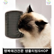 애견브러쉬 강아지브러쉬 강아지뭉친털 강아지빗질 강아지털관리 개털빗