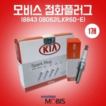카박사/18843 08062/낱개/1개/스파크플러그/점화플러그/기아/모비스 순정부품/LKR6D-E/올뉴모닝/레이/LPI/1884308062