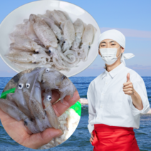 먹사부 태안 꼴뚜기 호래기 냉동 생물 꼴뚜기 회 횟감 자연산 국산, (선택1) 급냉 꼴뚜기, 1kg