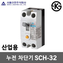 서울산전 누전 차단기 SCH-32 15A 20A 30A 2P 2.5kA 30AF ELB ELCB 누전용차단기 누전차단기 국산 배전반 배전함 분전반 분전함 가정용 산업용, 누전 SCH-32 30A