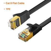 네트워크 모니터링 테스트기 CableCreation-Cat 8 RJ45 이더넷 케이블 40Gbps 2000MHz sfp 고속 네트워크 인터넷 Lan 패치 코드 노트북 PS5 라우, 01 Cat 8 Flat Cable, 02 1m