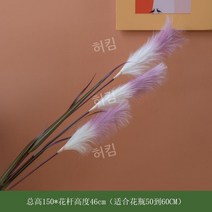 북유럽 인테리어 핑크 조화 포토존 식물 화분 핑크뮬리 촬영 장식품, E. 퍼플(헤드3개)