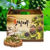국내산 황칠나무 진액 황칠 엑기스 100ml x 60p