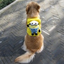 [BTM]대형견용 미니언 몬스터 캐릭터 애견백팩/하네스, 002