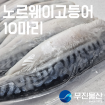 [무진물산] 노르웨이 간고등어 대 10마리 3.5kg 생선구이 자반 고갈비 (냉동)