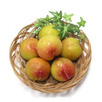 가을 추희 자두 2kg내외, *I181_가을 추희 자두 2kg내외(80g내외), 1개, 상세페이지 참조