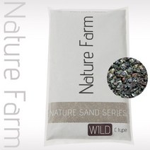 네이처팜 네이처샌드 와일드 C타입 2kg, 1개, 상세페이지참조