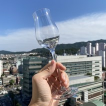 [2pc] 라이프해커스 위스키 잔 테이스팅 글라스 싱글몰트잔 글랜캐런 양주잔 테이스팅잔 노징