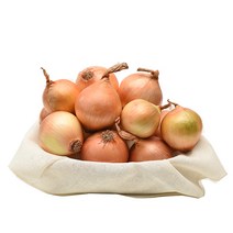 [산지직송] 단단한 황토 무안 양파(장아찌용) 10kg, 1박스