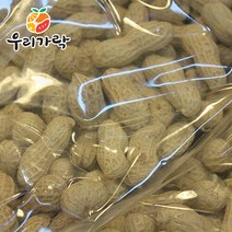 브랜드없음 [우리가락]피땅콩 1kg, 1개