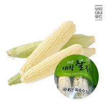 브랜드없음 [보섭이네푸드]군자농협 찐 삶은 괴산 대학 찰옥수수 20개(특품.상온.15cm내외), 단품없음