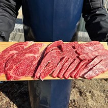 [제이제이푸드] 투쁠 국내산 한우1++ 한판모듬구이용 600g 800g/차돌박이 선물이벤트, 한우1++ 한판모듬구이 600g