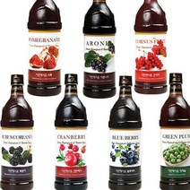 궁궐STORE 차전에프앤비 자연농축액 시리즈 900ml 매실오미자석류복분자블루베리아로니아크랜베리28969266, 아로니아