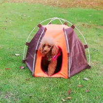 강아지 캠핑 텐트 하우스 쉼터 집 야외 실외 방수
