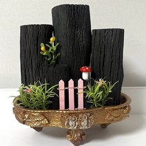 희망참숯농원 숯화분 장미