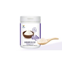 모유유산균 락토바실러스 플란타럼 가세리 람노스유산균 230g