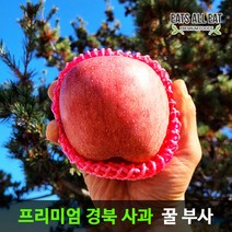 이츠올릿 경북 청송 부사 사과 5kg 못난이 꼬마과 25-28과 아침 껍질째 먹는 맛있는 햇 꿀사과, 1개