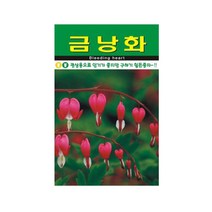 한국 금낭화 씨앗 야생화 꽃씨 종자 품종 정원 20립