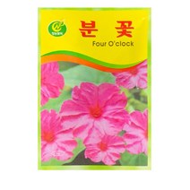 중앙꽃씨 분꽃, 10개