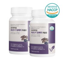 차즈기 추출물 차조기 자소엽효능 루테올린 유기농 빌베리 안토시아닌 베타카로틴 효능 추천 분말 정 식약처 HACCP 인증 120정x2통, 2통, 120정