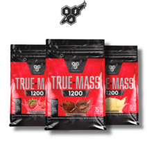 신타6 트루매스 게이너 True Mass 4.7kg, 초코