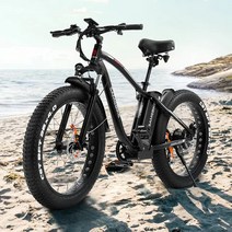 알루미늄 합금 전기 자전거 팻 타이어 충격 흡수 산악 자전거 리튬 배터리 26 인치 48V 15Ah 750W, 01 Matte black, 01 26