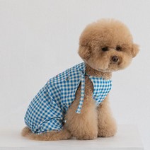 [댄온라인] 투투 오버롤 강아지 멜빵바지, 블루