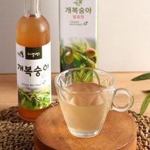 다약정 항아리발효숙성한 개복숭아발효청300ml-기관지염완화